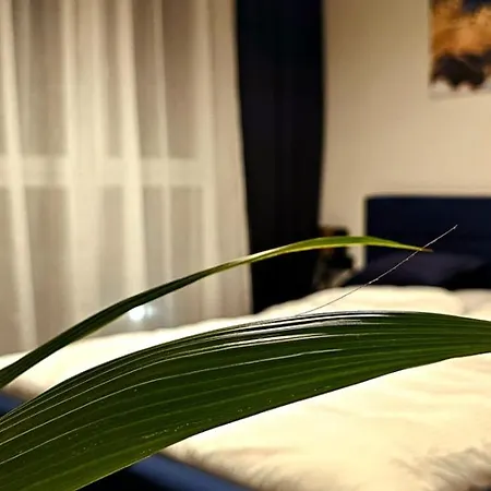 Appartement Plac Wolnosci 6 Poznań